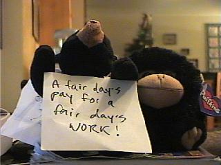 A stuffed monkey holding a sign

Description automatically generated