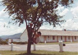 A tree with a building in the background

Description automatically generated with low confidence