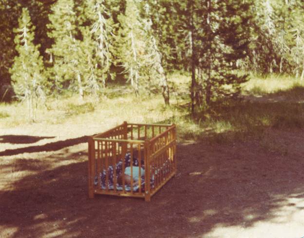 A baby in a crib in the woods

Description automatically generated