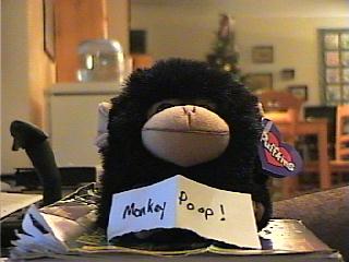 A stuffed monkey with a sign on it

Description automatically generated