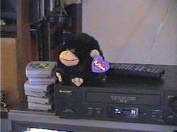 A stuffed toy sitting on a dvd player

Description automatically generated