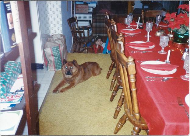 George during his very first Christmas in the house.